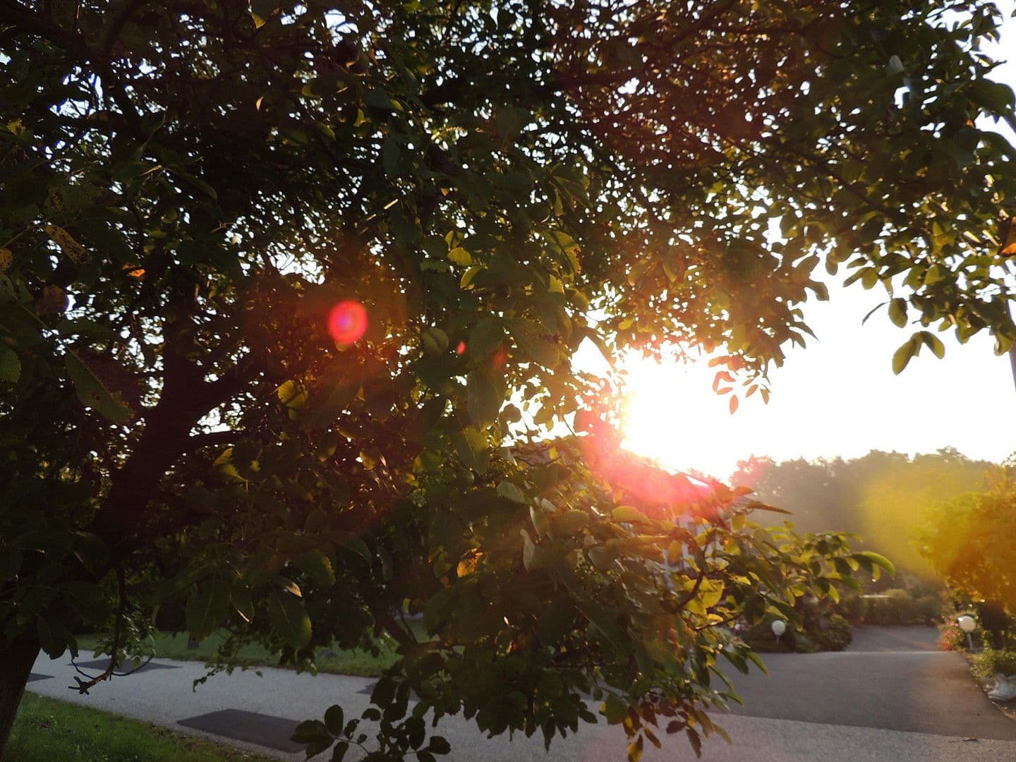 house for sale, 3,428 m², Heiligenkreuz, Burgenland house for sale, 3,428 m², Heiligenkreuz, Burgenland