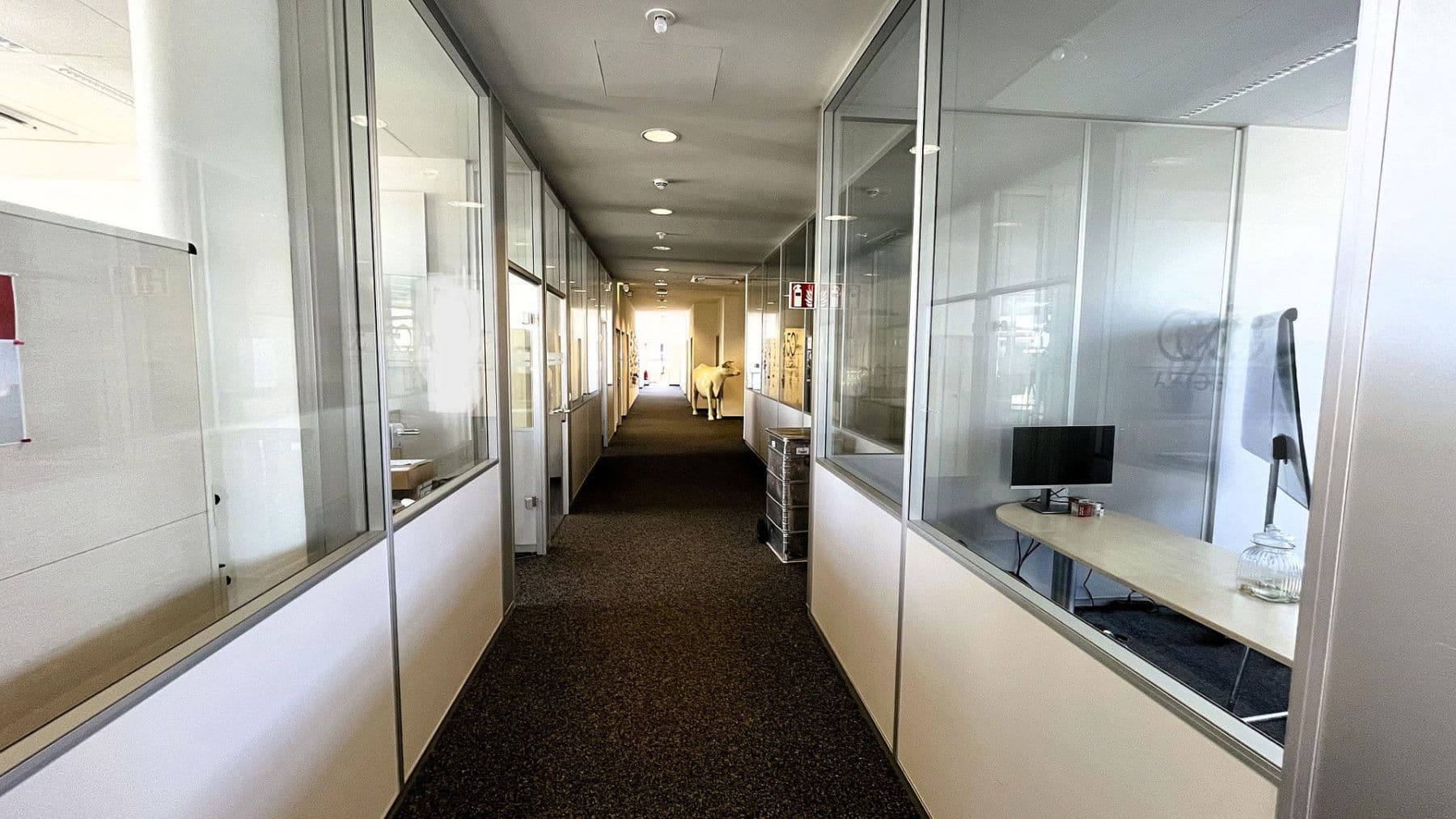 office to rent, 650 m², Ismaning, Bavaria office to rent, 650 m², Ismaning, Bavaria