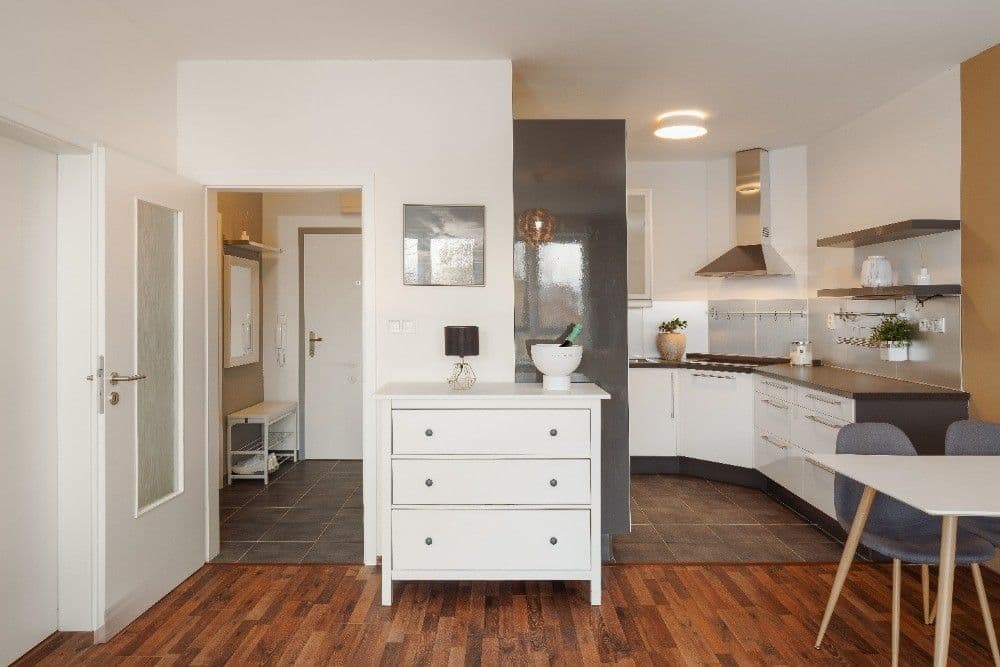 1 bedroom with open-plan kitchen flat to rent, 54 m², U Staré cihelny, Prague, Prague 1 bedroom with open-plan kitchen flat to rent, 54 m², U Staré cihelny, Prague, Prague