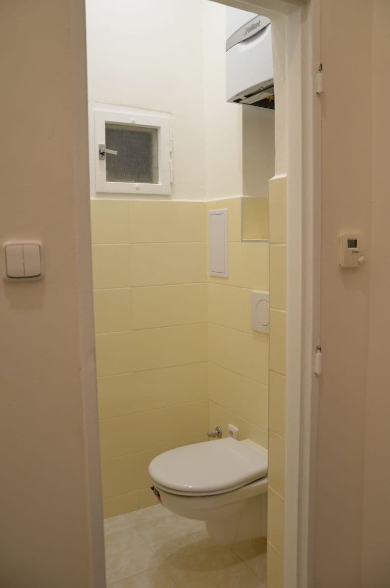 1 bedroom with open-plan kitchen flat to rent, 46 m², Šumavská, Prague, Prague 1 bedroom with open-plan kitchen flat to rent, 46 m², Šumavská, Prague, Prague