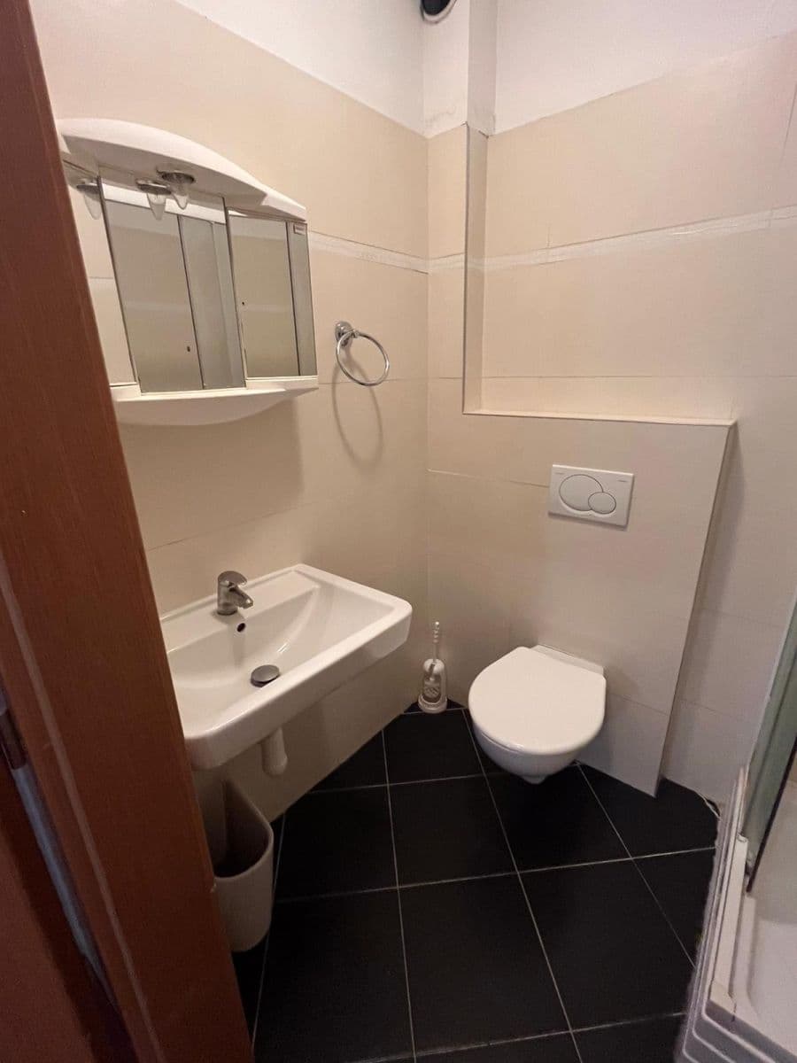 1 bedroom with open-plan kitchen flat to rent, 75 m², Táborská, Prague, Prague 1 bedroom with open-plan kitchen flat to rent, 75 m², Táborská, Prague, Prague