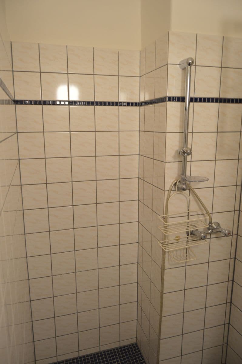 1 bedroom with open-plan kitchen flat to rent, 48 m², Nad Koulkou, Prague, Prague 1 bedroom with open-plan kitchen flat to rent, 48 m², Nad Koulkou, Prague, Prague