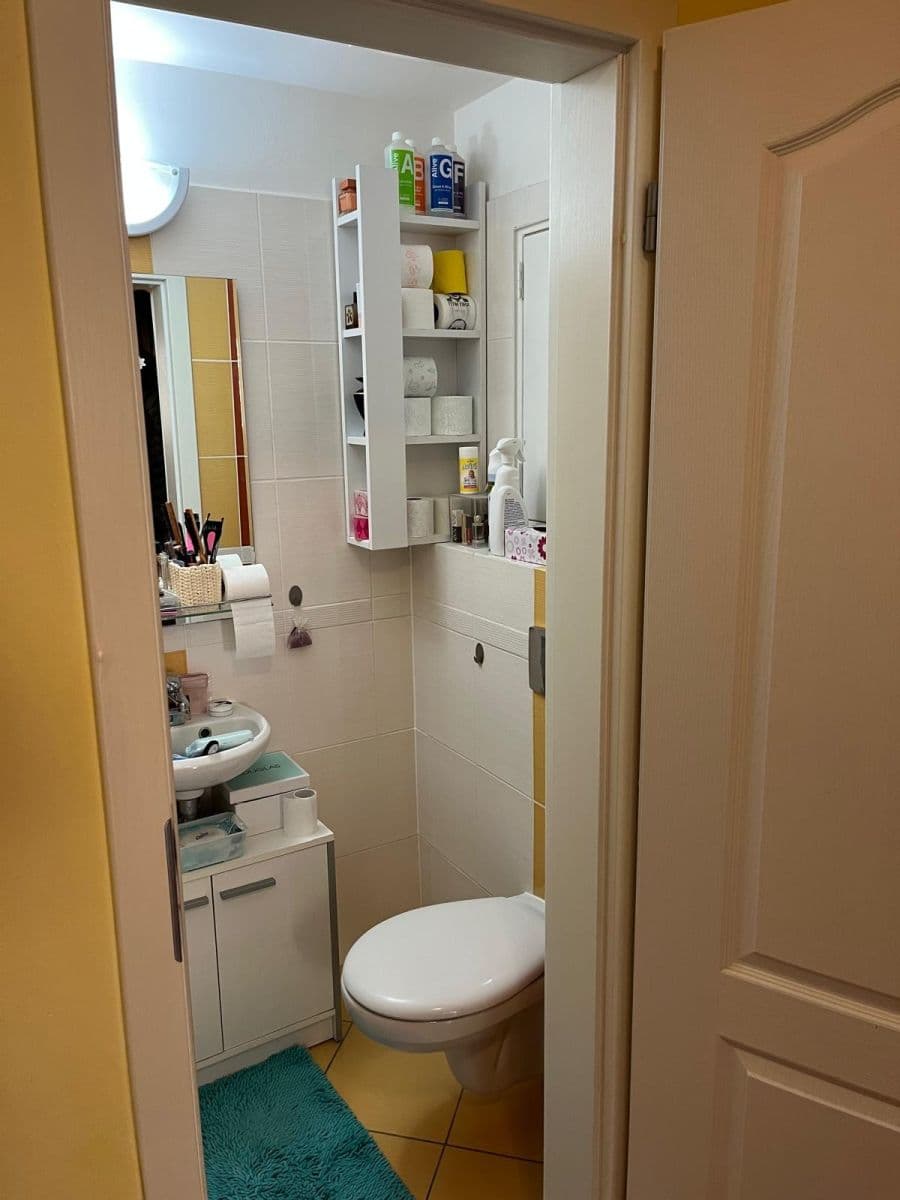 2 bedroom with open-plan kitchen flat for sale, 301 m², Zámecký vrch, Karlovy Vary, Karlovarský Region 2 bedroom with open-plan kitchen flat for sale, 301 m², Zámecký vrch, Karlovy Vary, Karlovarský Region