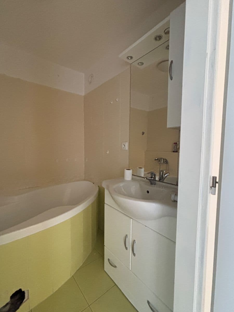 2 bedroom with open-plan kitchen flat for sale, 78 m², Vašátkova, Prague, Prague 2 bedroom with open-plan kitchen flat for sale, 78 m², Vašátkova, Prague, Prague