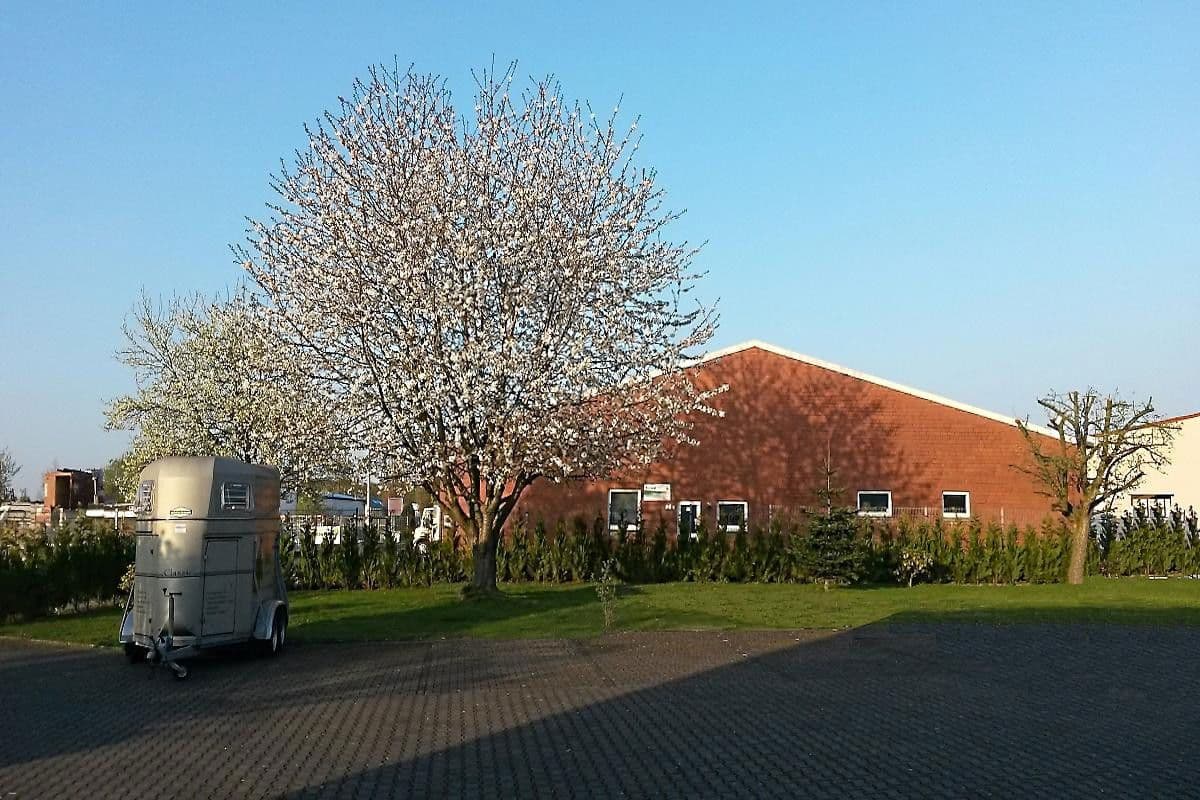 house for sale, 550 m², Dülmen, North Rhine-Westphalia house for sale, 550 m², Dülmen, North Rhine-Westphalia