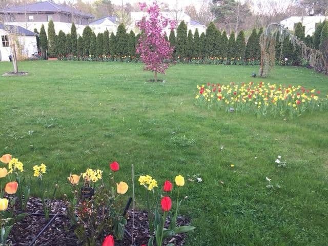 house for sale, 265 m², Potsdam Groß Glienicke zu Berlin, Brandenburg house for sale, 265 m², Potsdam Groß Glienicke zu Berlin, Brandenburg