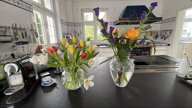 house for sale, 265 m², Potsdam Groß Glienicke zu Berlin, Brandenburg house for sale, 265 m², Potsdam Groß Glienicke zu Berlin, Brandenburg