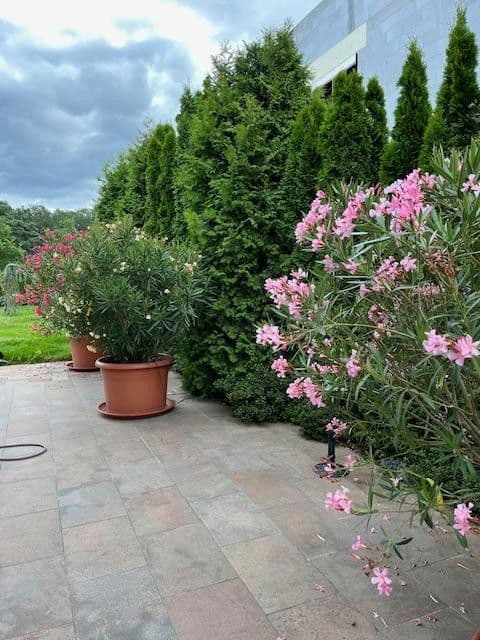 house for sale, 265 m², Potsdam Groß Glienicke zu Berlin, Brandenburg house for sale, 265 m², Potsdam Groß Glienicke zu Berlin, Brandenburg