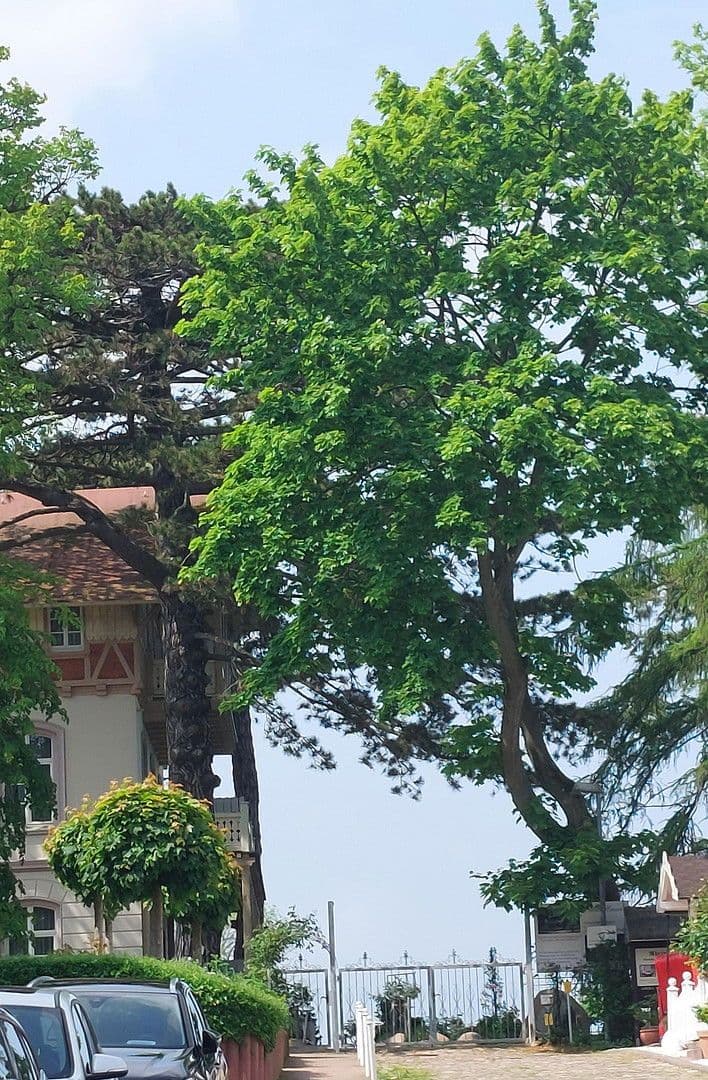 2 bedroom flat for sale, 42 m², Göhren, Mecklenburg-Vorpommern 2 bedroom flat for sale, 42 m², Göhren, Mecklenburg-Vorpommern