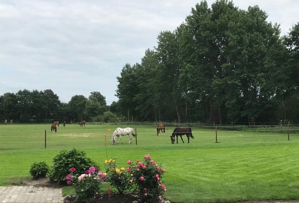 1 bedroom flat to rent, 37 m², Neulehe, Lower Saxony 1 bedroom flat to rent, 37 m², Neulehe, Lower Saxony