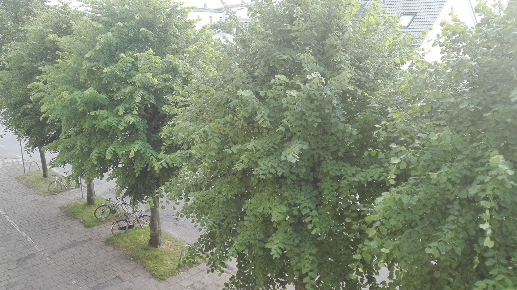 2 bedroom with open-plan kitchen flat to rent, 77 m², Lange Reihe 69, Greifswald, Mecklenburg-Vorpommern 2 bedroom with open-plan kitchen flat to rent, 77 m², Lange Reihe 69, Greifswald, Mecklenburg-Vorpommern