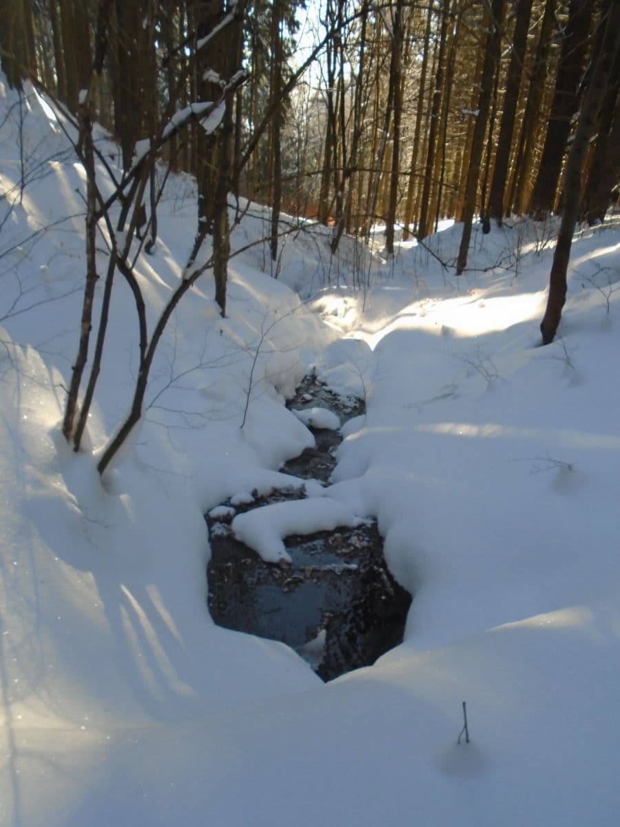 Studio flat for sale, 49 m², Žacléř, Královéhradecký Region Studio flat for sale, 49 m², Žacléř, Královéhradecký Region