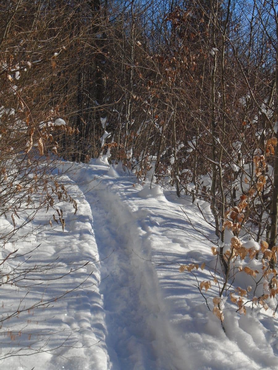 Studio flat for sale, 49 m², Žacléř, Královéhradecký Region Studio flat for sale, 49 m², Žacléř, Královéhradecký Region