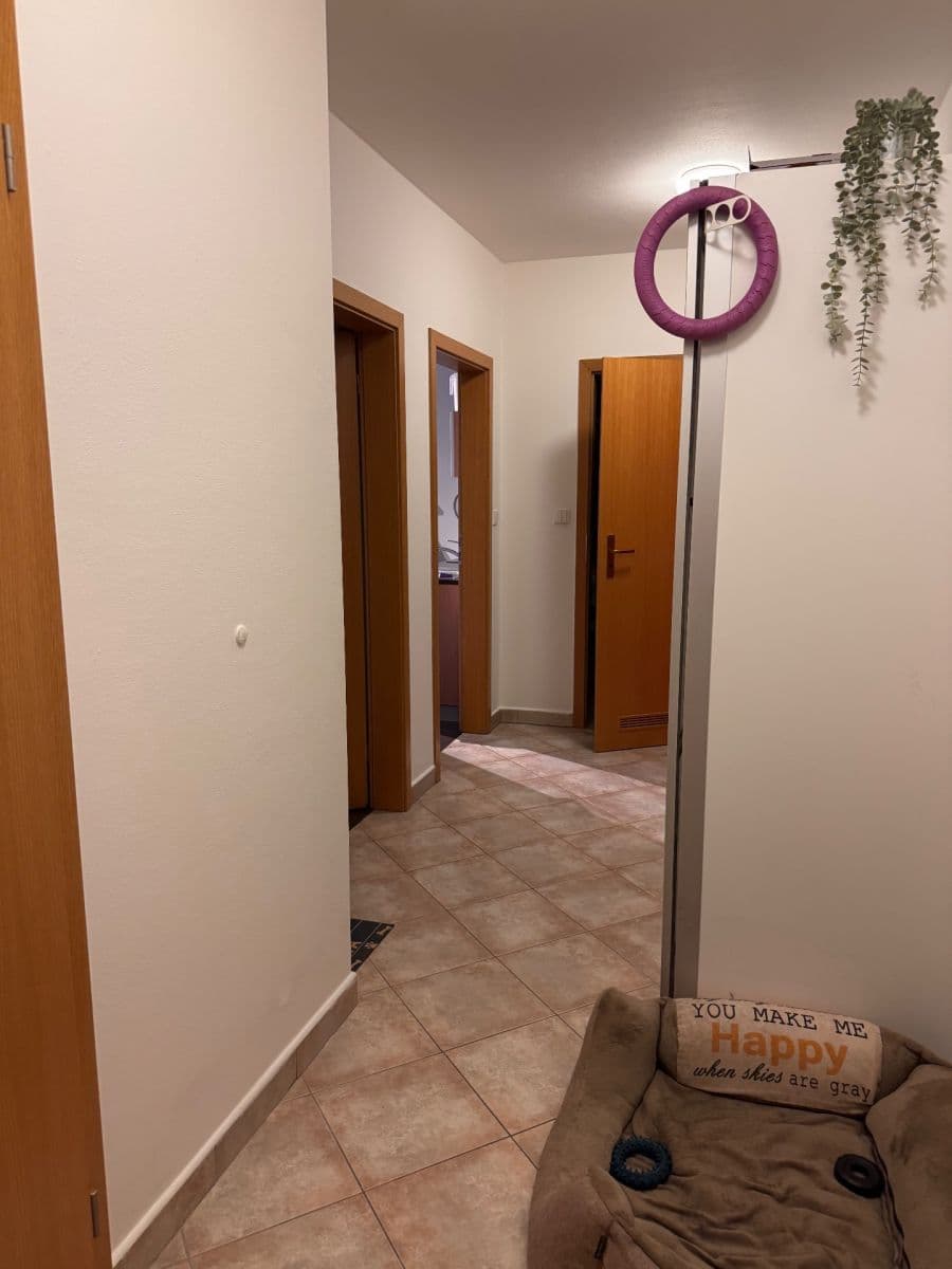 1 bedroom with open-plan kitchen flat to rent, 60 m², Kovanecká, Prague, Prague 1 bedroom with open-plan kitchen flat to rent, 60 m², Kovanecká, Prague, Prague