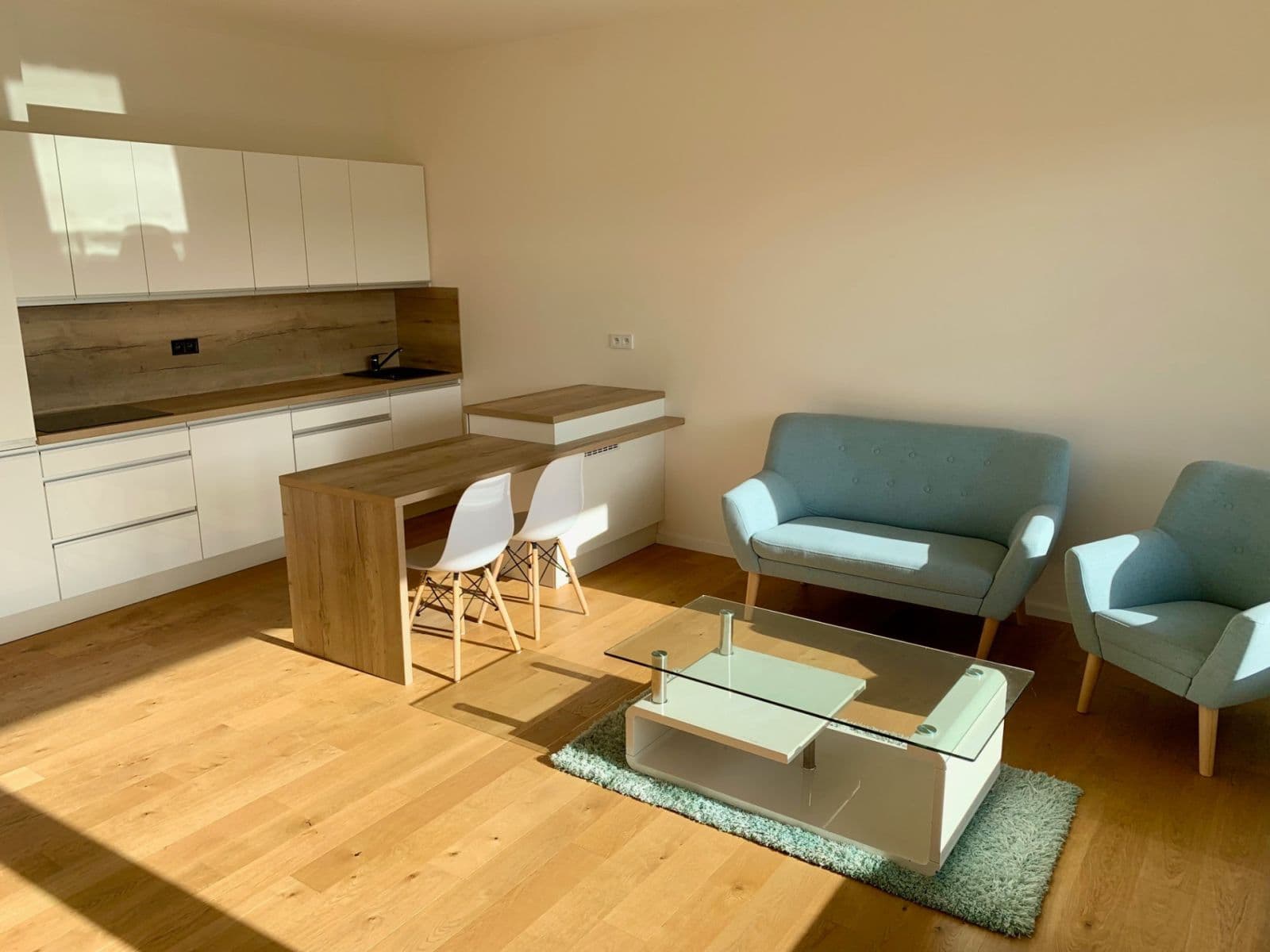 1 bedroom with open-plan kitchen flat to rent, 55 m², U Lesoparku, Prague, Prague 1 bedroom with open-plan kitchen flat to rent, 55 m², U Lesoparku, Prague, Prague