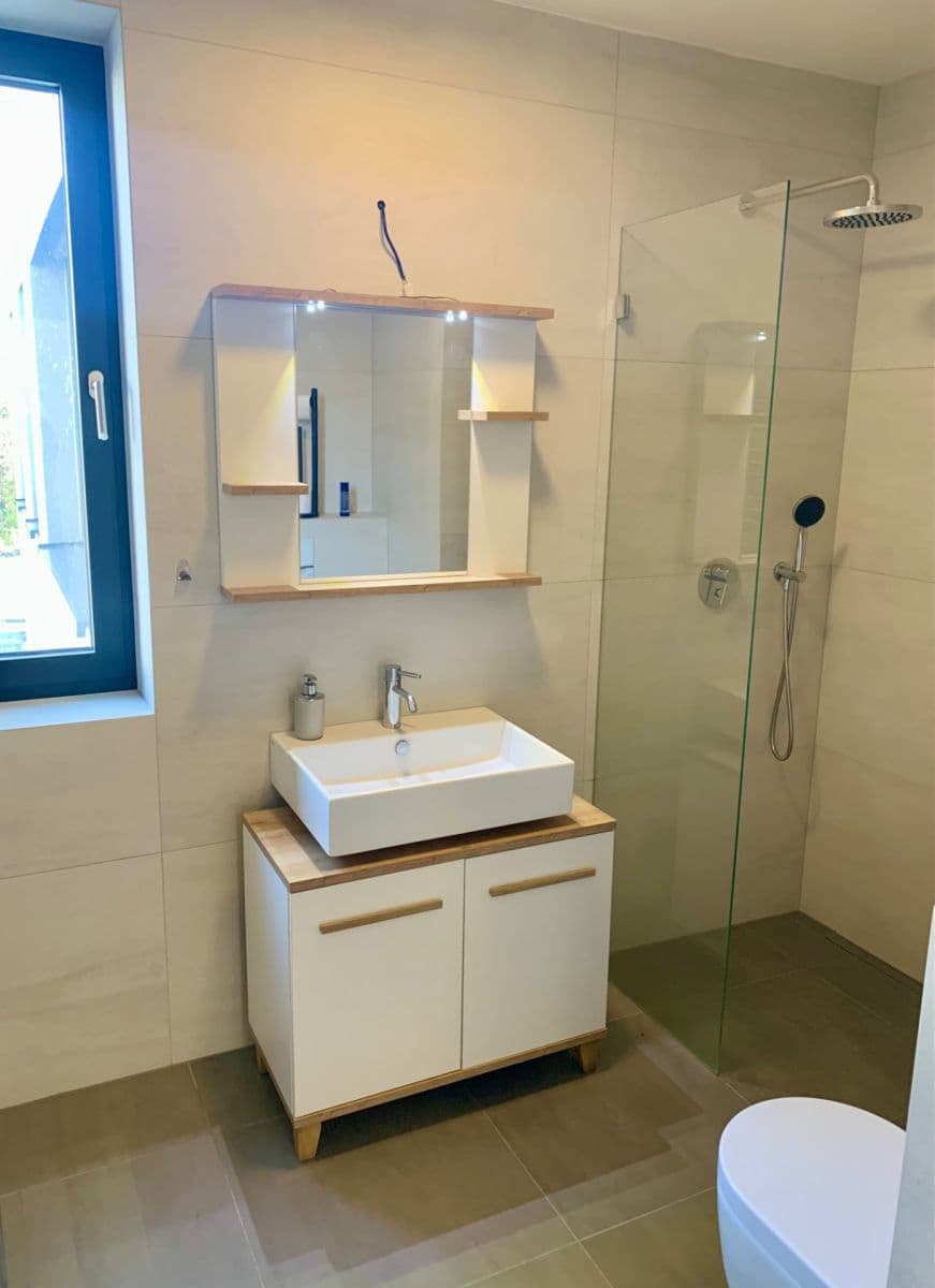 1 bedroom with open-plan kitchen flat to rent, 55 m², U Lesoparku, Prague, Prague 1 bedroom with open-plan kitchen flat to rent, 55 m², U Lesoparku, Prague, Prague