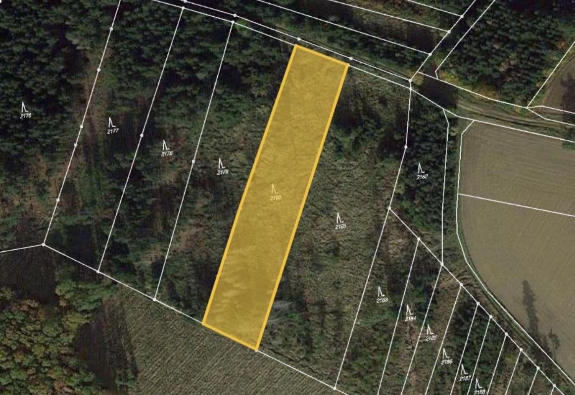 plot for sale, 3,101 m², Budkov, Vysočina Region plot for sale, 3,101 m², Budkov, Vysočina Region