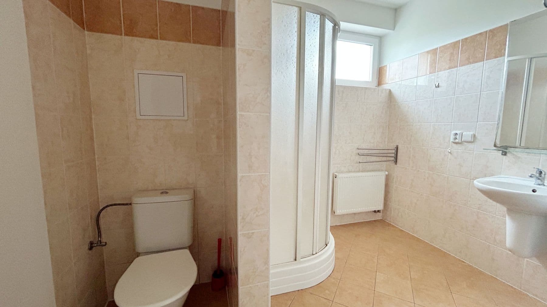 1 bedroom with open-plan kitchen flat to rent, 44 m², Třídvorská, Kolín, Středočeský Region 1 bedroom with open-plan kitchen flat to rent, 44 m², Třídvorská, Kolín, Středočeský Region