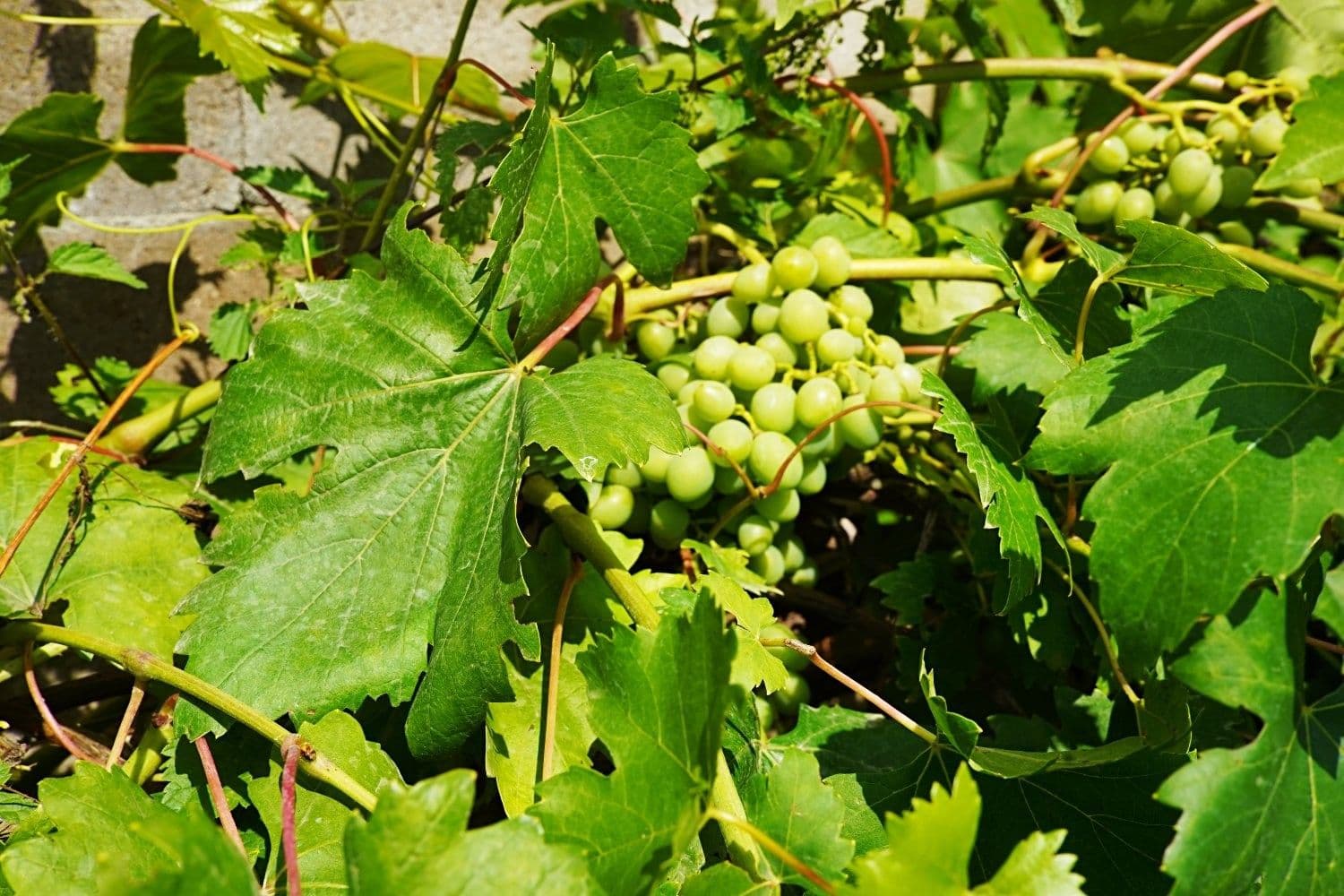 recreational property for sale, 343 m², Stříbro, Plzeňský Region recreational property for sale, 343 m², Stříbro, Plzeňský Region