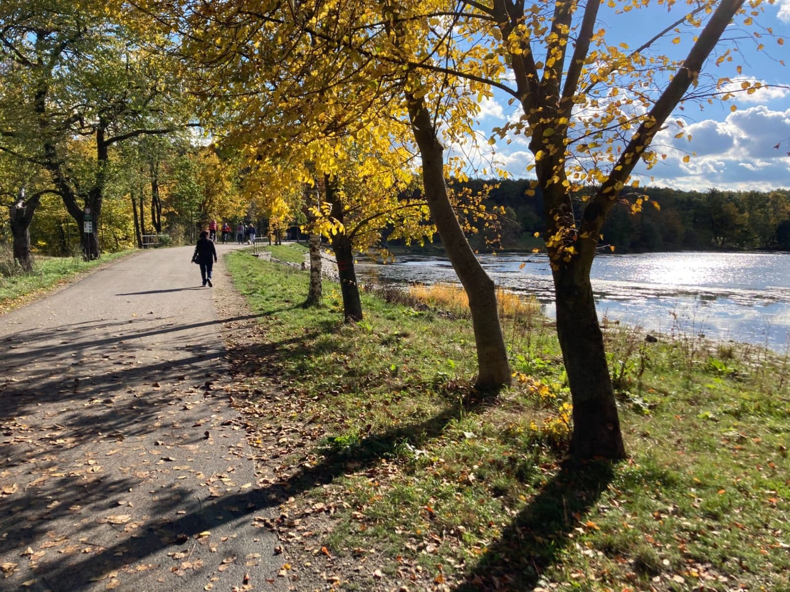 1 bedroom with open-plan kitchen flat to rent, 54 m², Jurkovičova, Prague, Prague 1 bedroom with open-plan kitchen flat to rent, 54 m², Jurkovičova, Prague, Prague