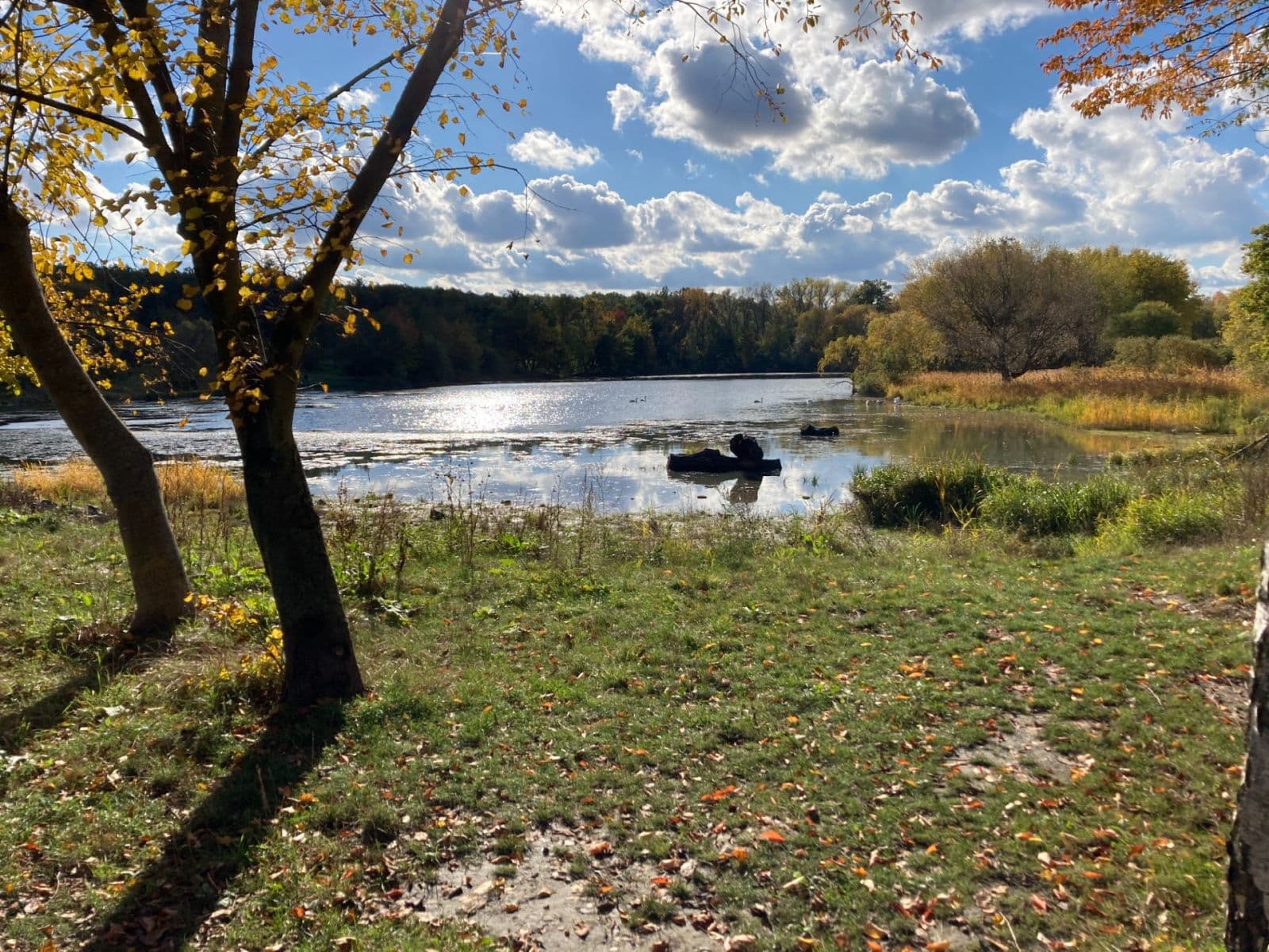 1 bedroom with open-plan kitchen flat to rent, 54 m², Jurkovičova, Prague, Prague 1 bedroom with open-plan kitchen flat to rent, 54 m², Jurkovičova, Prague, Prague