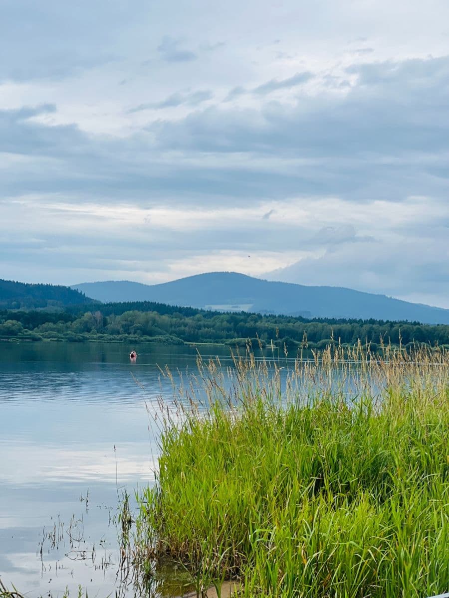 2 bedroom with open-plan kitchen flat for sale, 51 m², Černá v Pošumaví, Jihočeský Region 2 bedroom with open-plan kitchen flat for sale, 51 m², Černá v Pošumaví, Jihočeský Region