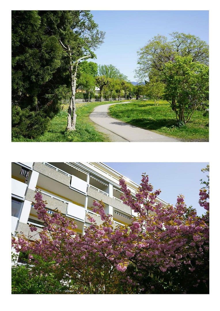 2 bedroom flat to rent, 60 m², Am Alpengarten, Lindau (Bodensee), Bavaria 2 bedroom flat to rent, 60 m², Am Alpengarten, Lindau (Bodensee), Bavaria