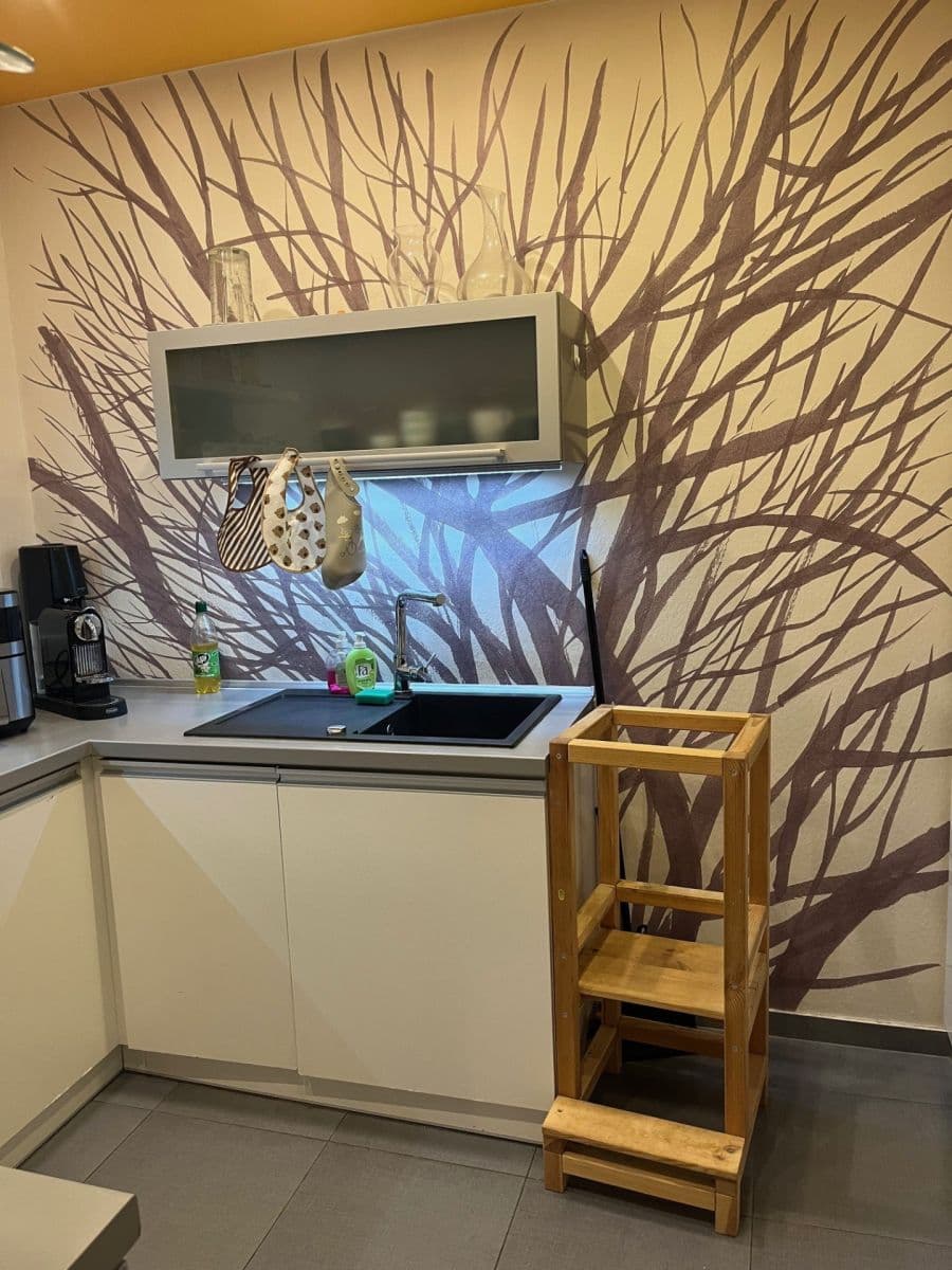 1 bedroom with open-plan kitchen flat to rent, 55 m², Rysova, Brno, Jihomoravský Region 1 bedroom with open-plan kitchen flat to rent, 55 m², Rysova, Brno, Jihomoravský Region