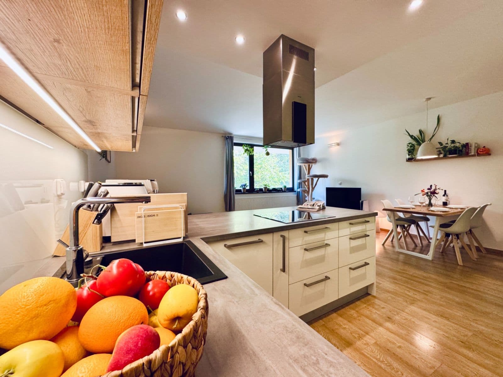 1 bedroom with open-plan kitchen flat to rent, 67 m², Musílkova, Prague, Prague 1 bedroom with open-plan kitchen flat to rent, 67 m², Musílkova, Prague, Prague