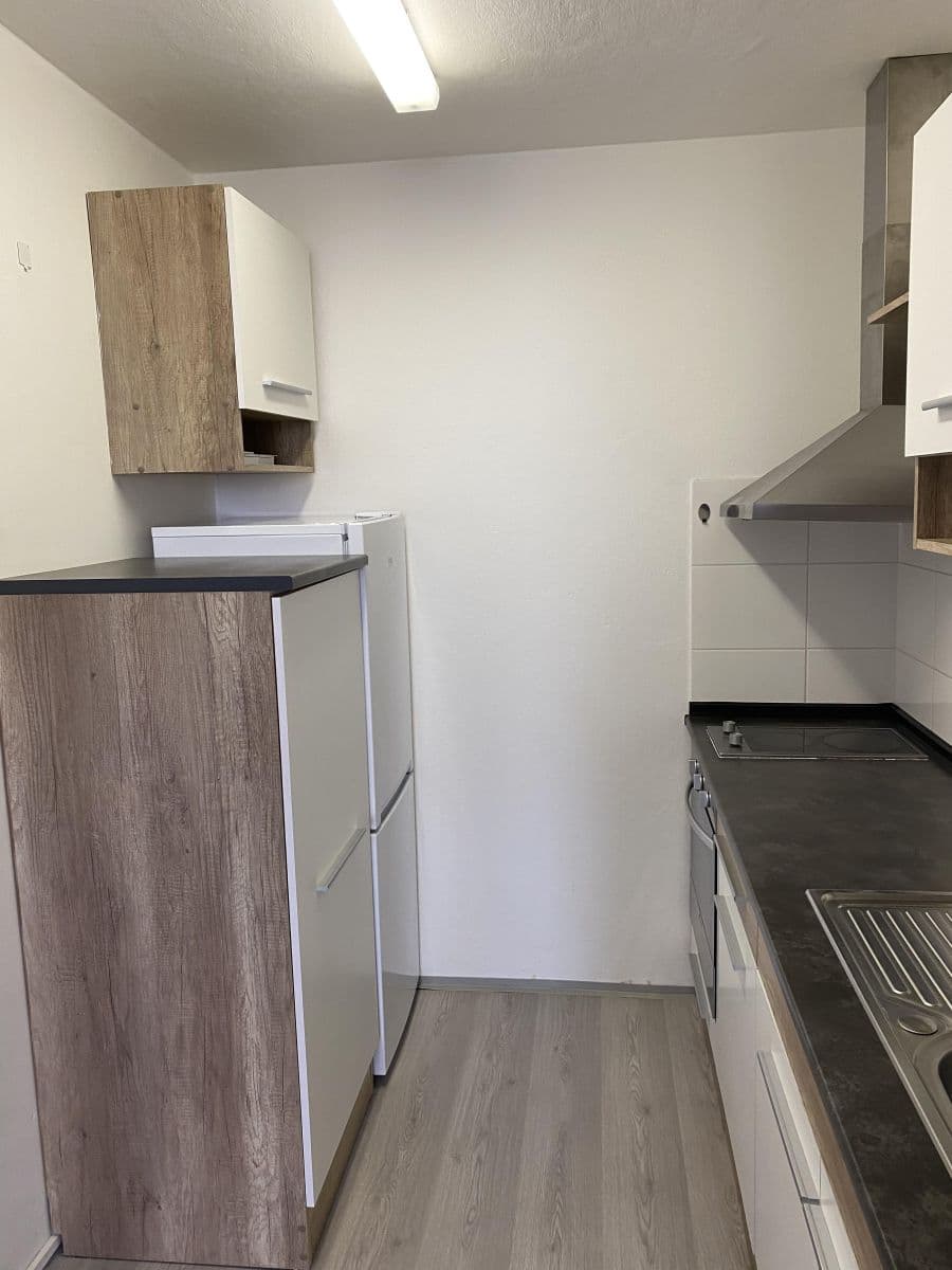 1 bedroom with open-plan kitchen flat to rent, 46 m², K Výtopně, Prague, Prague 1 bedroom with open-plan kitchen flat to rent, 46 m², K Výtopně, Prague, Prague