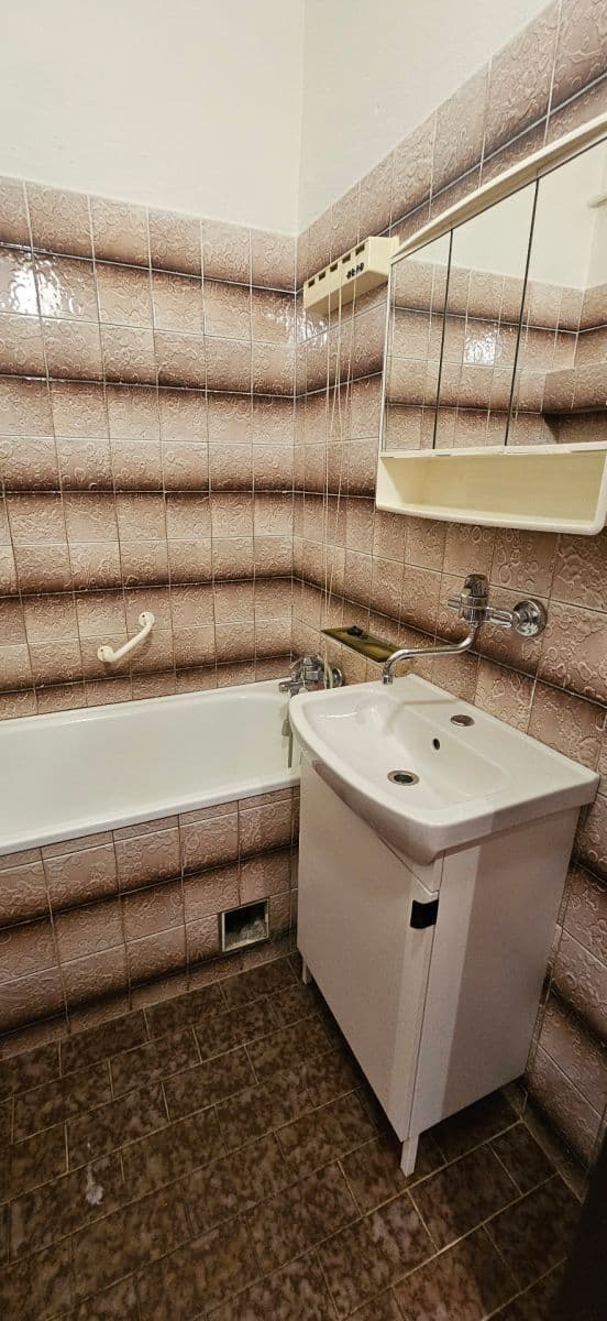 1 bedroom with open-plan kitchen flat to rent, 46 m², Kurta Konráda, Prague, Prague 1 bedroom with open-plan kitchen flat to rent, 46 m², Kurta Konráda, Prague, Prague