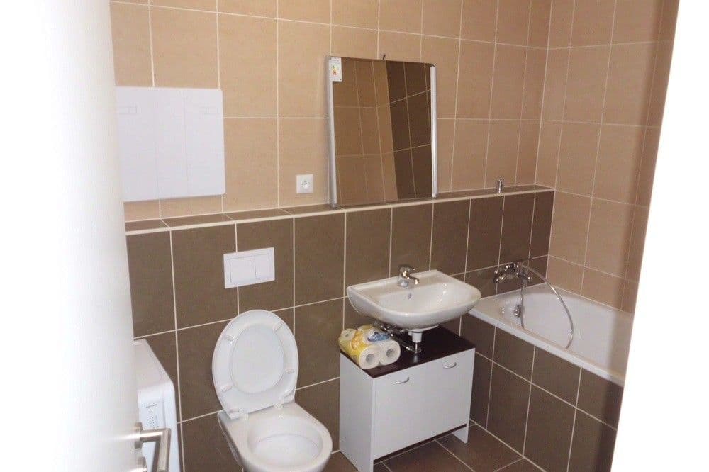 1 bedroom with open-plan kitchen flat to rent, 53 m², Olgy Havlové, Prague, Prague 1 bedroom with open-plan kitchen flat to rent, 53 m², Olgy Havlové, Prague, Prague