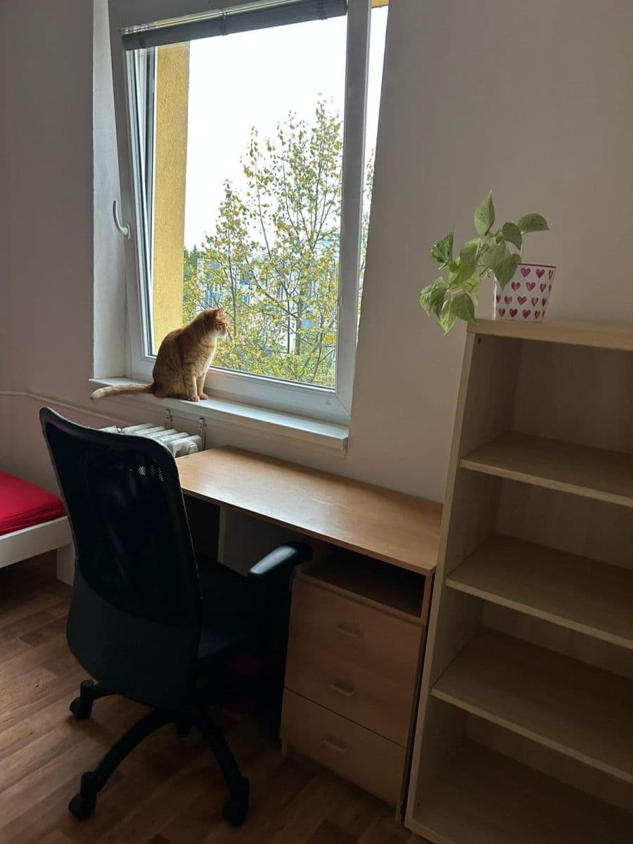 2 bedroom with open-plan kitchen flat to rent, 80 m², Babákova, Prague, Prague 2 bedroom with open-plan kitchen flat to rent, 80 m², Babákova, Prague, Prague