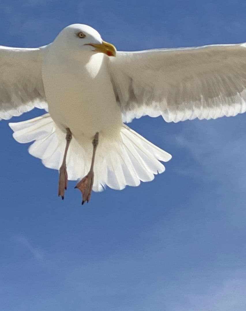 3 bedroom flat for sale, 50 m², Muschelweg 8A, Norden, Lower Saxony 3 bedroom flat for sale, 50 m², Muschelweg 8A, Norden, Lower Saxony