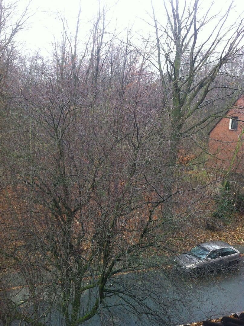 3 bedroom flat to rent, 90 m², Essen, North Rhine-Westphalia 3 bedroom flat to rent, 90 m², Essen, North Rhine-Westphalia