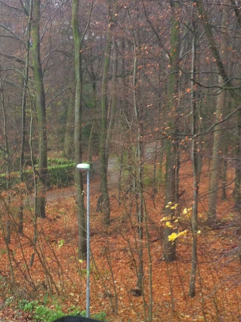 3 bedroom flat to rent, 90 m², Essen, North Rhine-Westphalia 3 bedroom flat to rent, 90 m², Essen, North Rhine-Westphalia