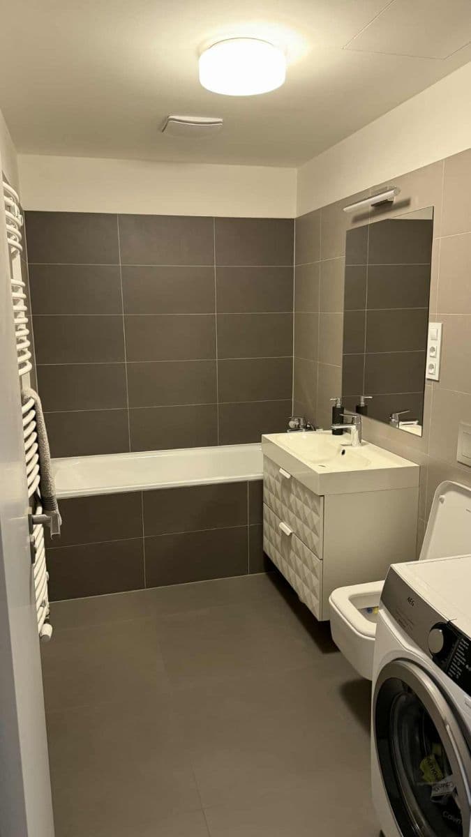 1 bedroom with open-plan kitchen flat to rent, 50 m², Lehovecká, Prague, Prague 1 bedroom with open-plan kitchen flat to rent, 50 m², Lehovecká, Prague, Prague