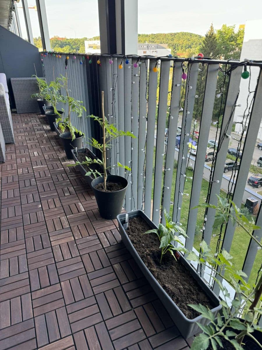 1 bedroom with open-plan kitchen flat to rent, 50 m², Lehovecká, Prague, Prague 1 bedroom with open-plan kitchen flat to rent, 50 m², Lehovecká, Prague, Prague