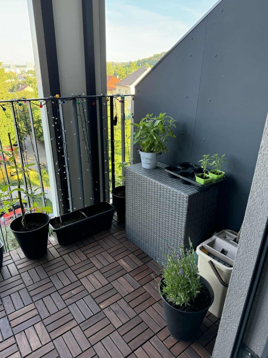 1 bedroom with open-plan kitchen flat to rent, 50 m², Lehovecká, Prague, Prague 1 bedroom with open-plan kitchen flat to rent, 50 m², Lehovecká, Prague, Prague