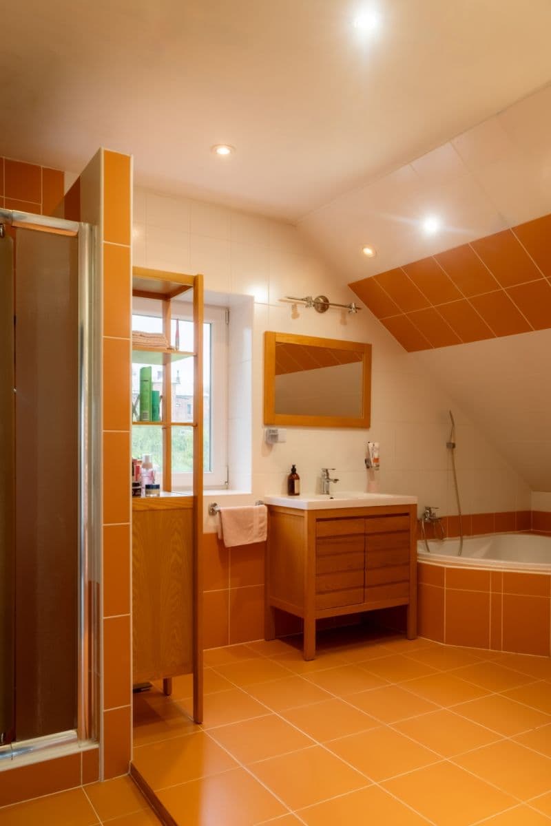 house for sale, 550 m², 44434, Domašov u Šternberka, Olomoucký Region house for sale, 550 m², 44434, Domašov u Šternberka, Olomoucký Region