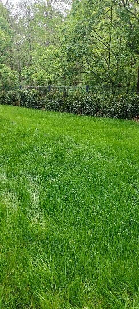 5 bedroom flat to rent, 173 m², Kronberger Strasse, Bad Soden am Taunus, Hesse 5 bedroom flat to rent, 173 m², Kronberger Strasse, Bad Soden am Taunus, Hesse