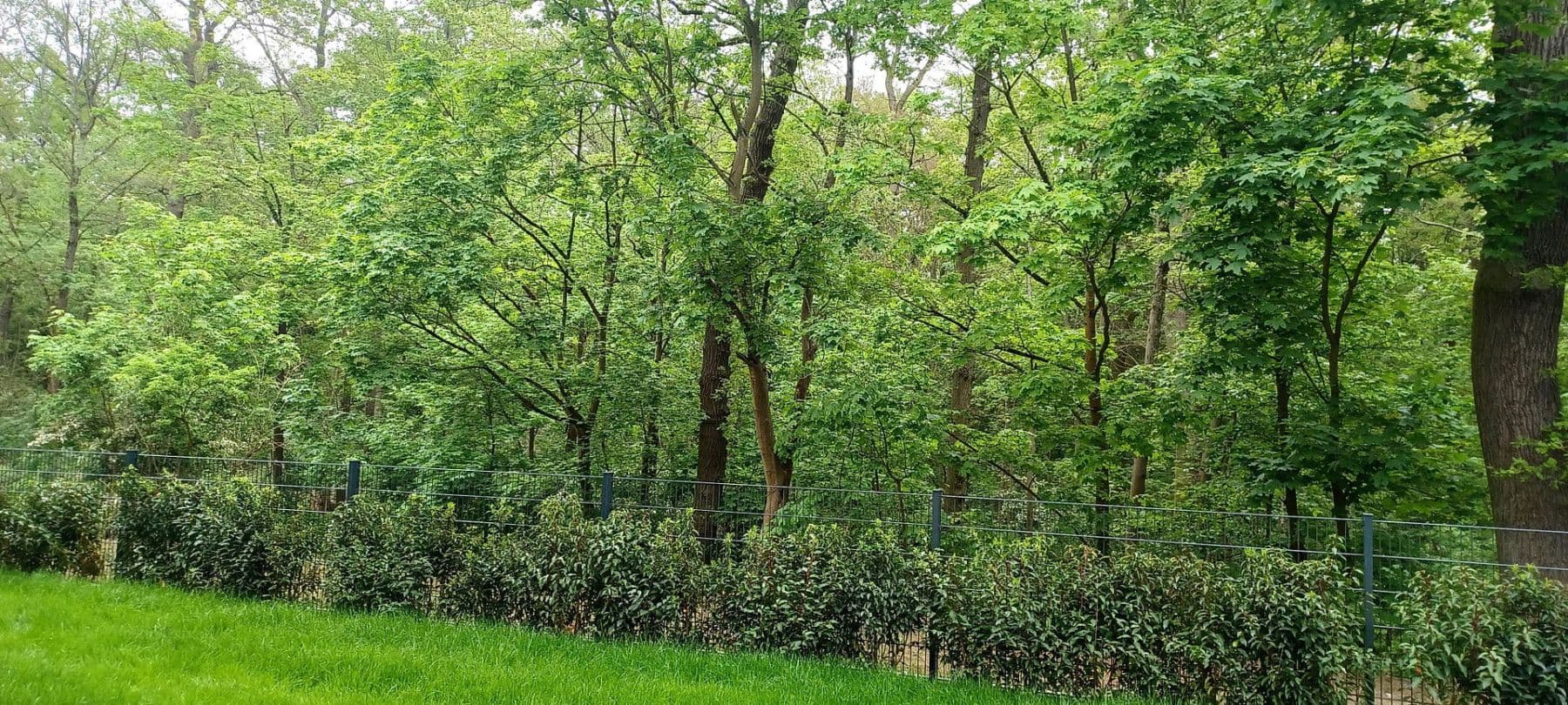 5 bedroom flat to rent, 173 m², Kronberger Strasse, Bad Soden am Taunus, Hesse 5 bedroom flat to rent, 173 m², Kronberger Strasse, Bad Soden am Taunus, Hesse