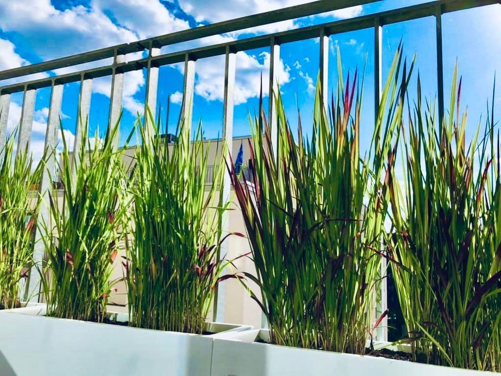 2 bedroom flat to rent, 58 m², Nagelsweg 24, Hamburg, Hamburg 2 bedroom flat to rent, 58 m², Nagelsweg 24, Hamburg, Hamburg