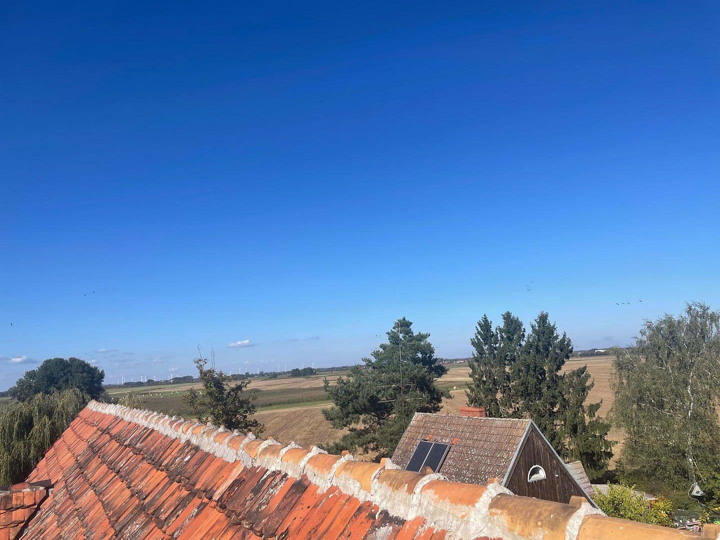 house for sale, 800 m², Neuhardenberg, Brandenburg house for sale, 800 m², Neuhardenberg, Brandenburg