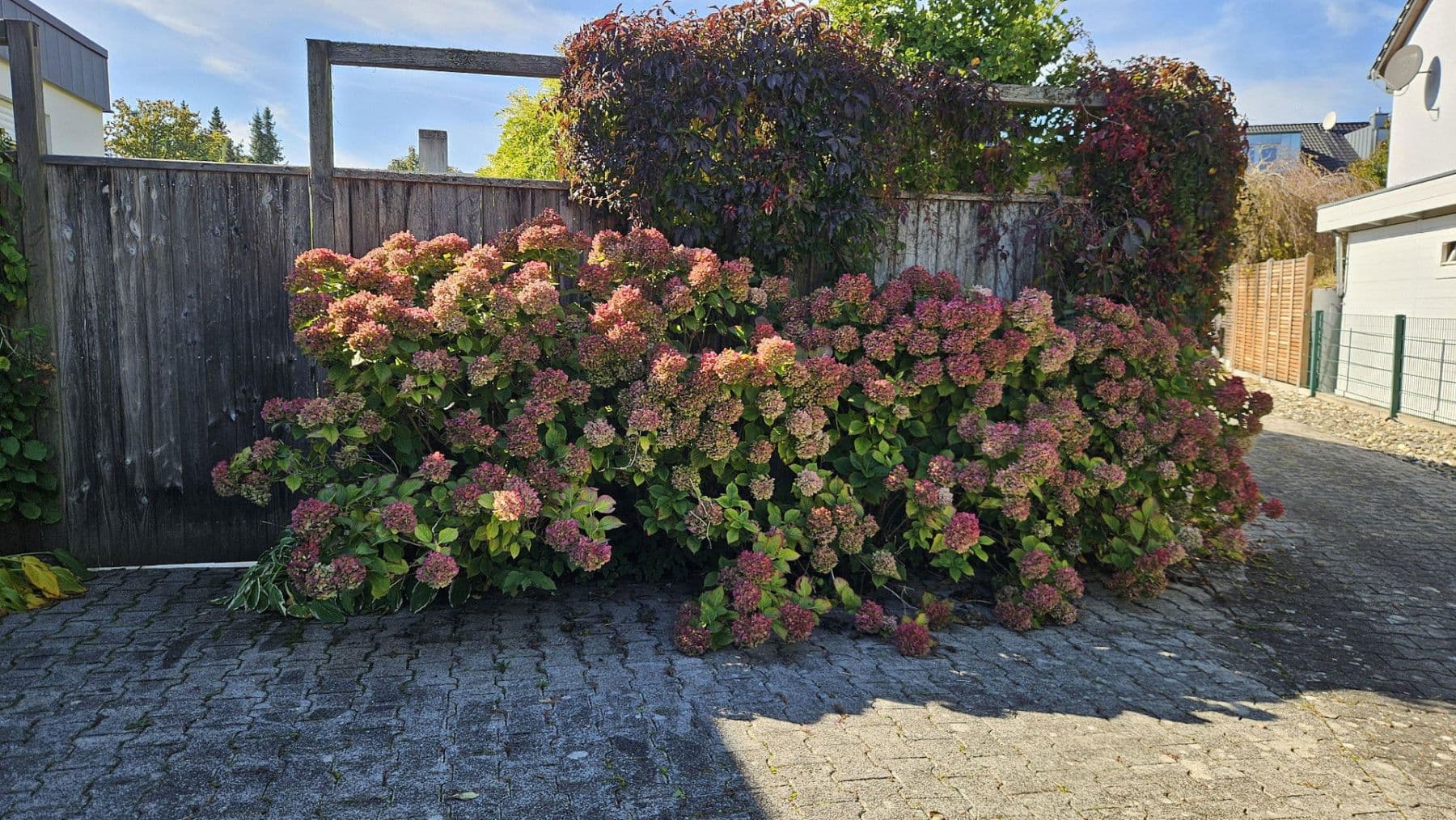 house for sale, 100 m², Ingolstadt, Bavaria house for sale, 100 m², Ingolstadt, Bavaria