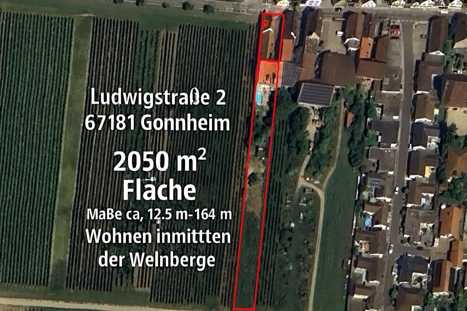 house for sale, 309 m², Ludwigstrasse 2 + 2a, Gönnheim, Rhineland-Palatinate house for sale, 309 m², Ludwigstrasse 2 + 2a, Gönnheim, Rhineland-Palatinate