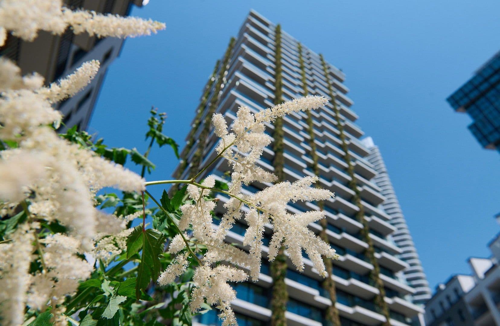 2 bedroom flat to rent, 63 m², Europa Allee 11, Frankfurt, Hesse 2 bedroom flat to rent, 63 m², Europa Allee 11, Frankfurt, Hesse