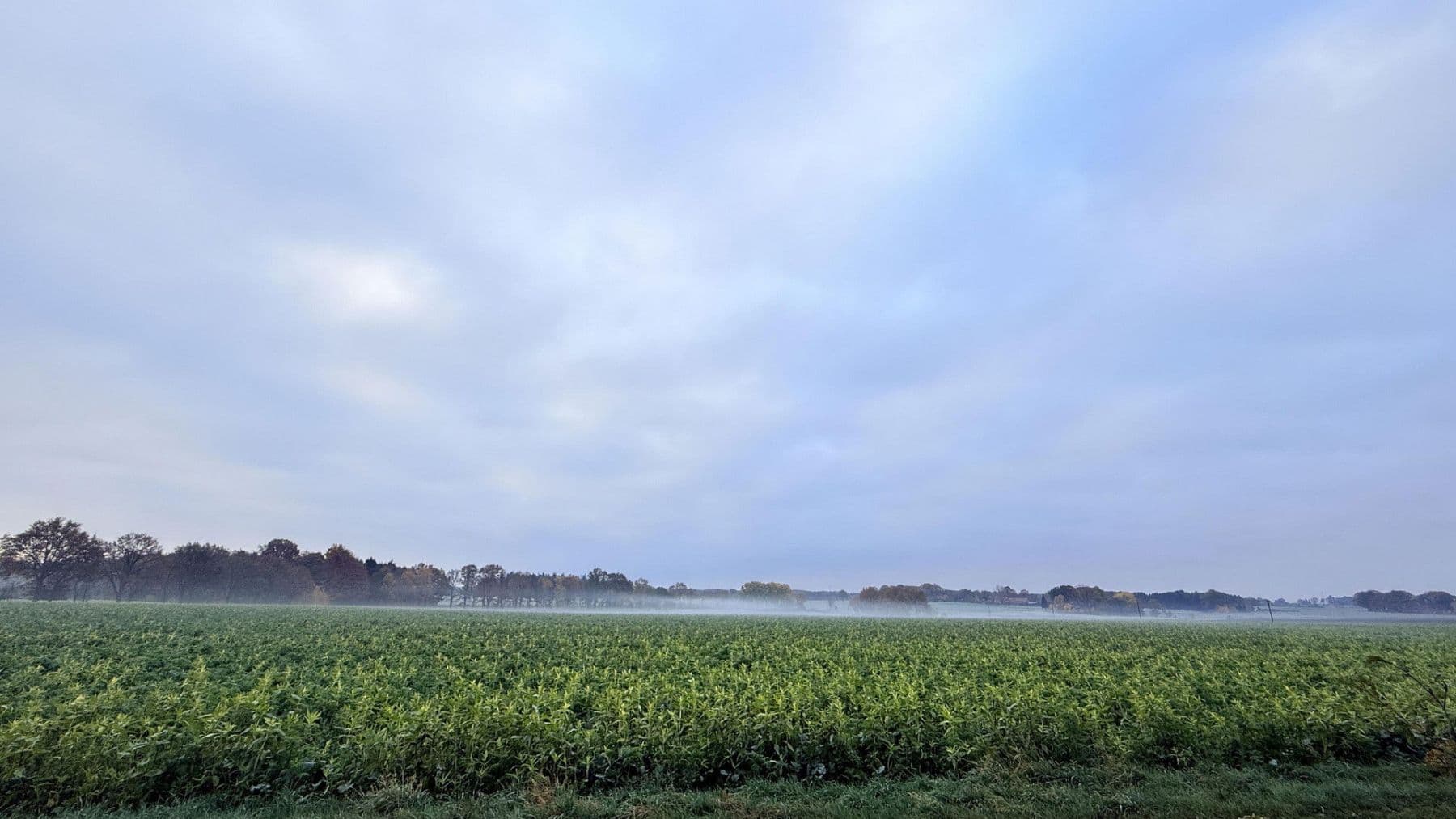 house for sale, 877 m², Balge, Lower Saxony house for sale, 877 m², Balge, Lower Saxony