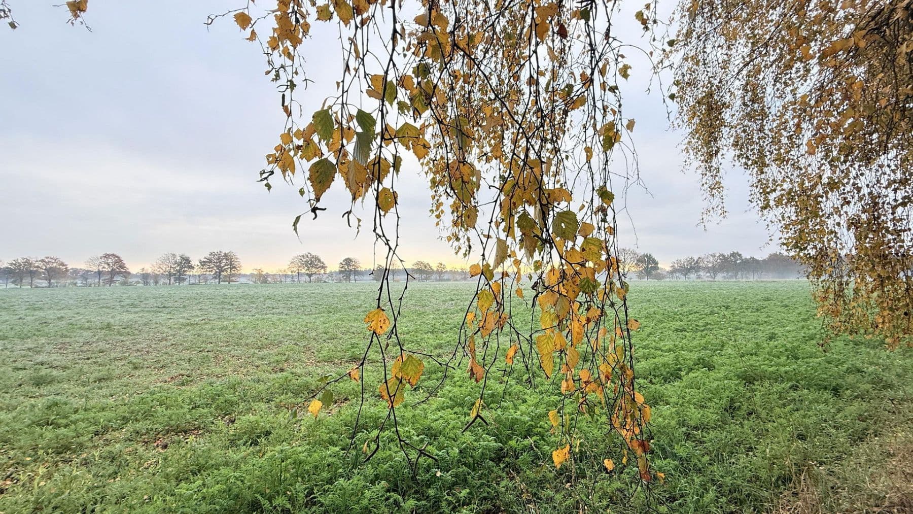 house for sale, 877 m², Balge, Lower Saxony house for sale, 877 m², Balge, Lower Saxony