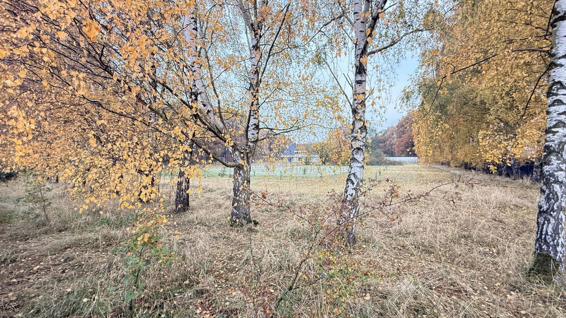 house for sale, 877 m², Balge, Lower Saxony house for sale, 877 m², Balge, Lower Saxony